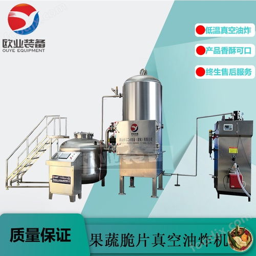 秋葵脆油炸設(shè)備 脆棗真空油炸機(jī) 全自動(dòng)低溫真空油炸機(jī)